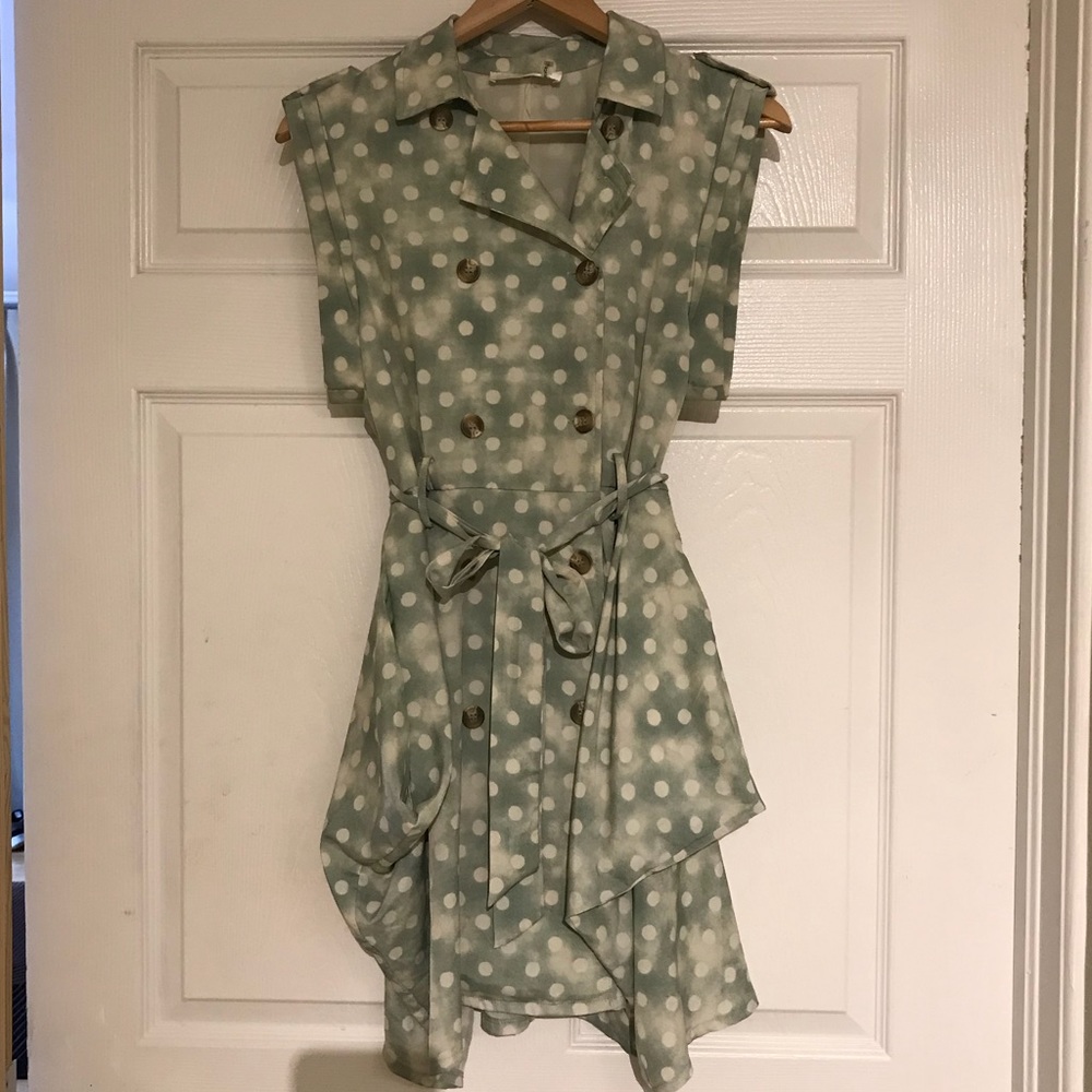 Polk A Dot Dress